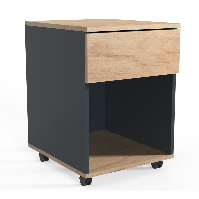 Remedios 39cm Wide File Cabinet, Black/Brown, 45cm H x 39cm W x 55cm D