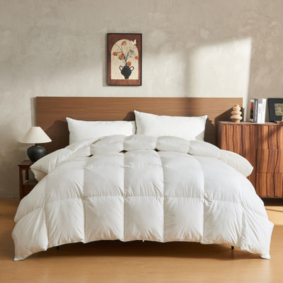 Premium Down Feather Blend Comforter Soft Cotton Blend Medium Weight for All Season Fluffy Duvet Insert with Ties