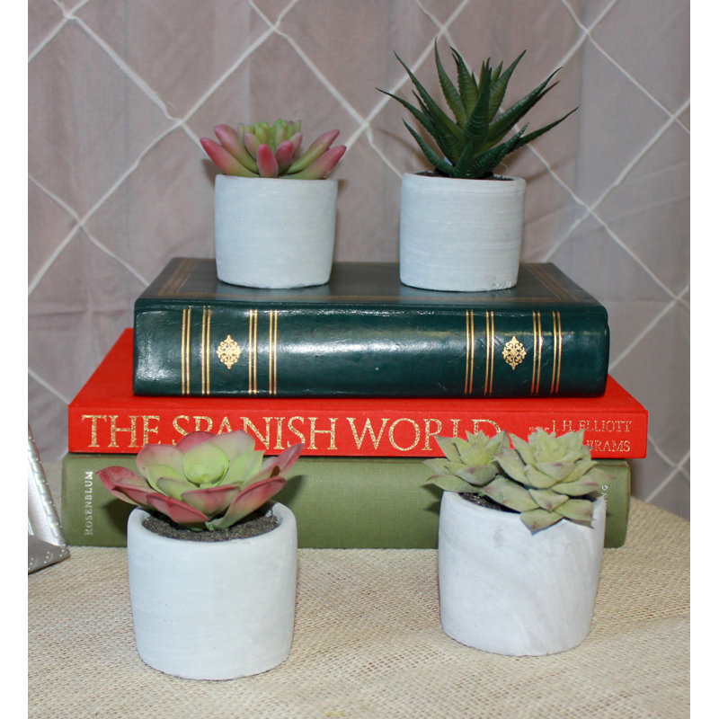 6'' Assorted Faux Succulent Plants in Ceramic Pots, Set of 4