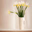 Timna Fine Porcelain Pitcher