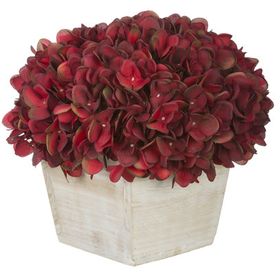 Hydrangea Arrangement in Planter