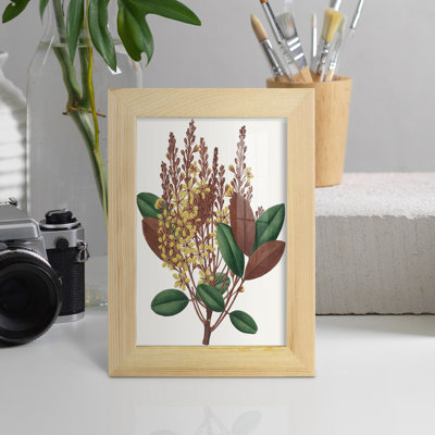 Fall Foliage II, reproduction d'art encadrée