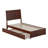 Avdesh Solid Wood Sleigh Trundle Extra Bed-1789888716-1789888561