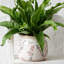 Pot à fleurs et vase en céramique rustique vintage Adairsville pour plantes d'intérieur et décoration de jardin-302204717