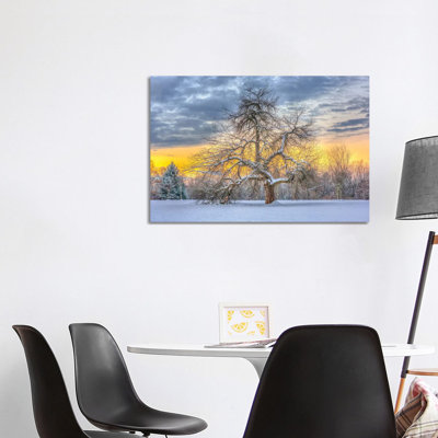 Apple Tree Winter 1 Piece Wall Art Set on Canvas