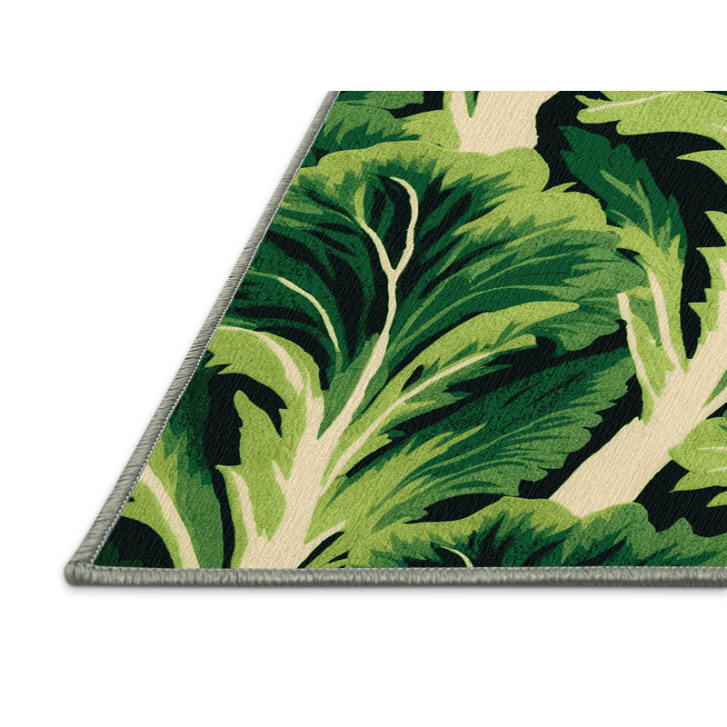  Tapis lavable avec légumes Escarole, Tapis de couloir 2 pi x 4 pi