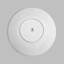 Nea Porcelain Dinner Plate