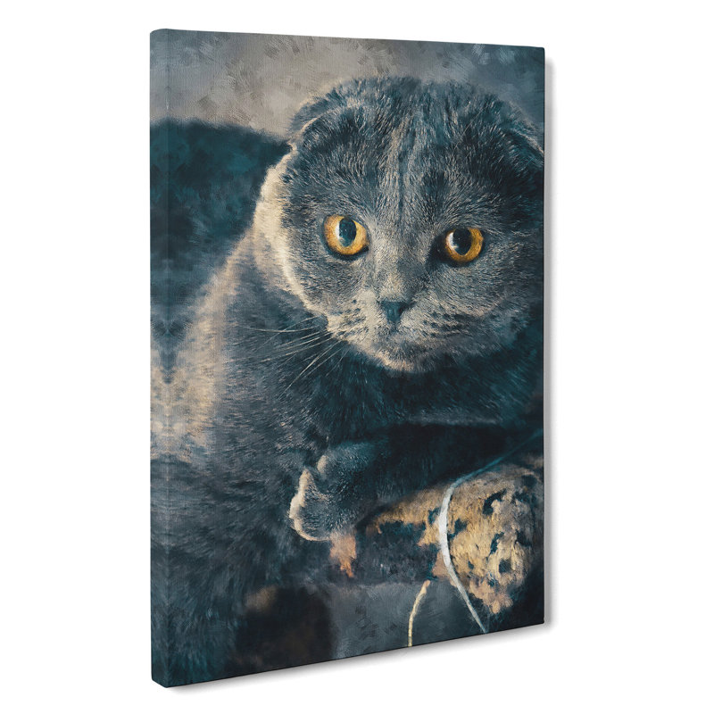 Scottish Fold Cat - Wrapped Canvas, 60cm H x 40cm W x 3cm D