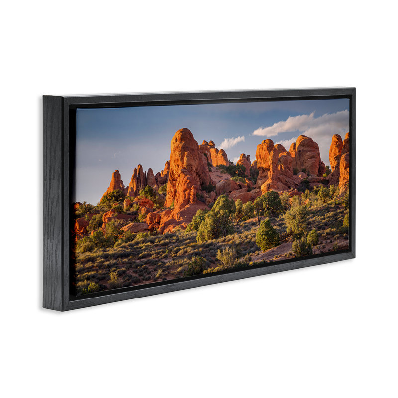 "Pointed Canyon Buttes" par Marty Hulsebos, H 11 po x l 25 po, Cadre flottant noir de jais