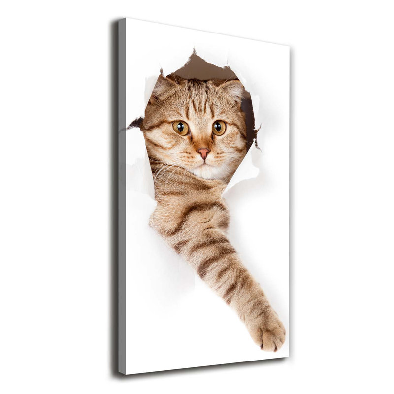 Cat - Wrapped Canvas Print, 140cm H x 70cm W