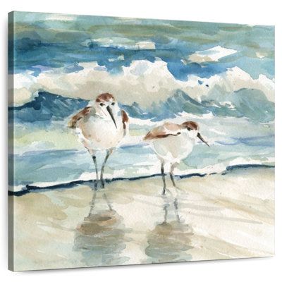 Crowle Beach Birds