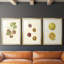 Persimmon II - Impression encadrée sur mesure de qualité supérieure mate - 3 pièces-1919404746-1919404750
