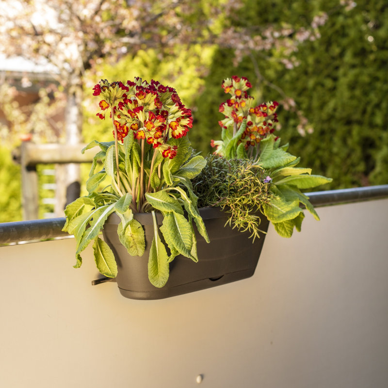 Whitney Window Box Planter, Anthracite