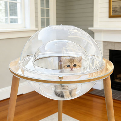 360° Immersive Cat Cave with Tunnel – Heavy-Duty Indoor Cat House & Enrichment Furniture