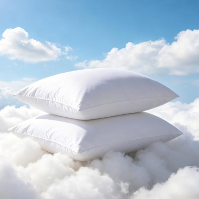 Ensemble de 2 oreillers en duvet d'oie, oreiller de couchage en duvet d'oie, chambres extérieures en polyester moelleux avec housse 100% coton, pour ceux qui dorment sur le dos