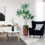 66 plantes-97701517