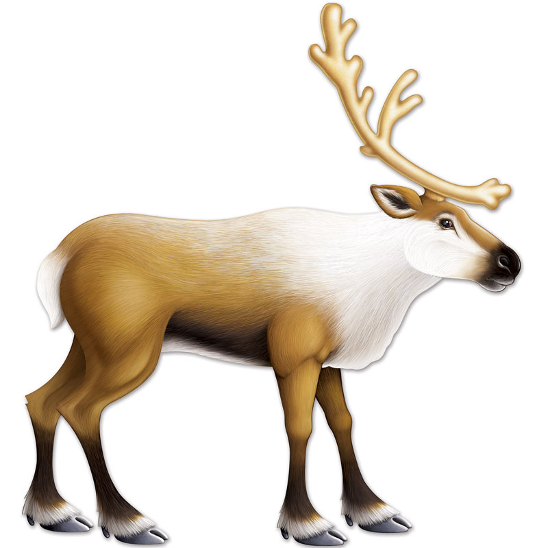 Christmas Decorative Accent