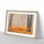 Orange Forest - Framed Print-55723656-55723658