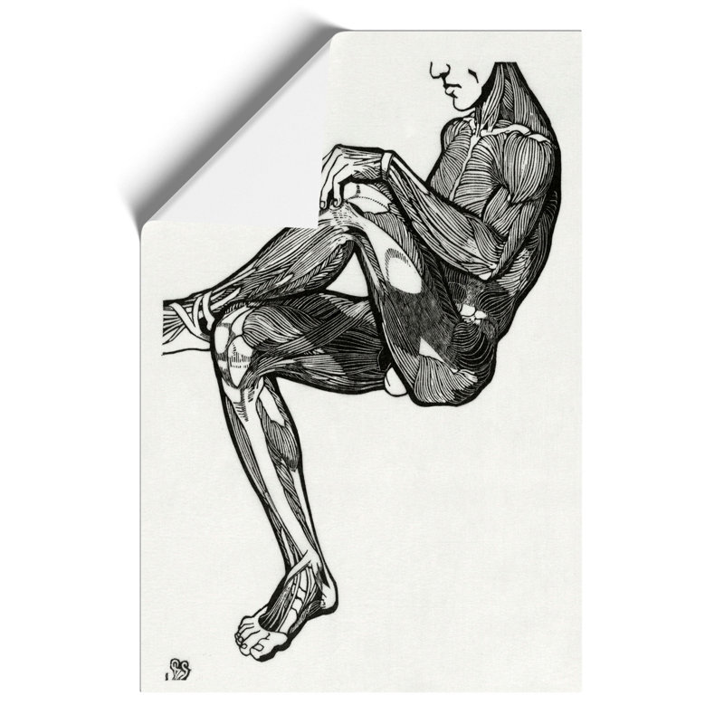 Anatomical Study Of A Man Vol.16 by Reijer Stolk - No Frame Painting, 42cm H x 30cm W x 0.1cm D