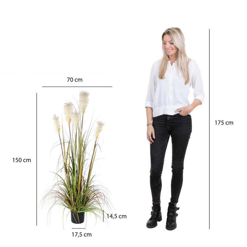 Faux Foliage Grass in Pot, 150 cm H x 45 cm W x 45 cm D