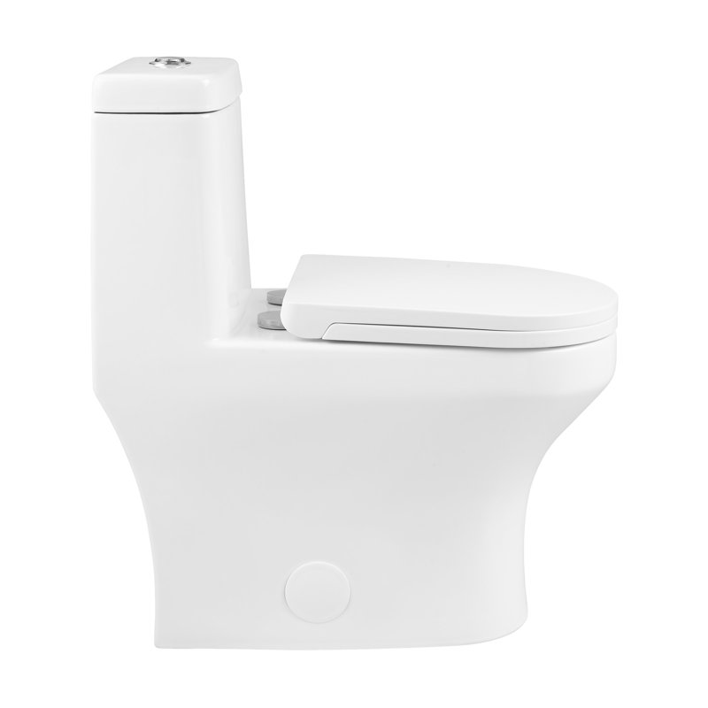 Vezina Elongated One-Piece Toilet