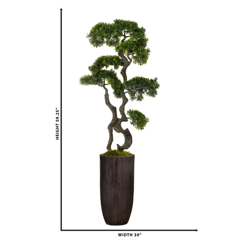 Bonsai Tree in Resin Planter