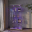 Armoire de rangement moderne en verre avec lumières à DEL, armoire antique à assemblage rapide, bibliothèque en verre trempé-1064796144