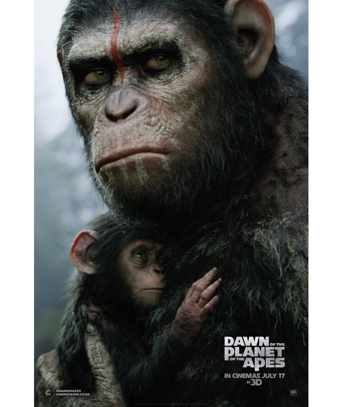 Aube de la planète des singes, H 40 po x l 27 po