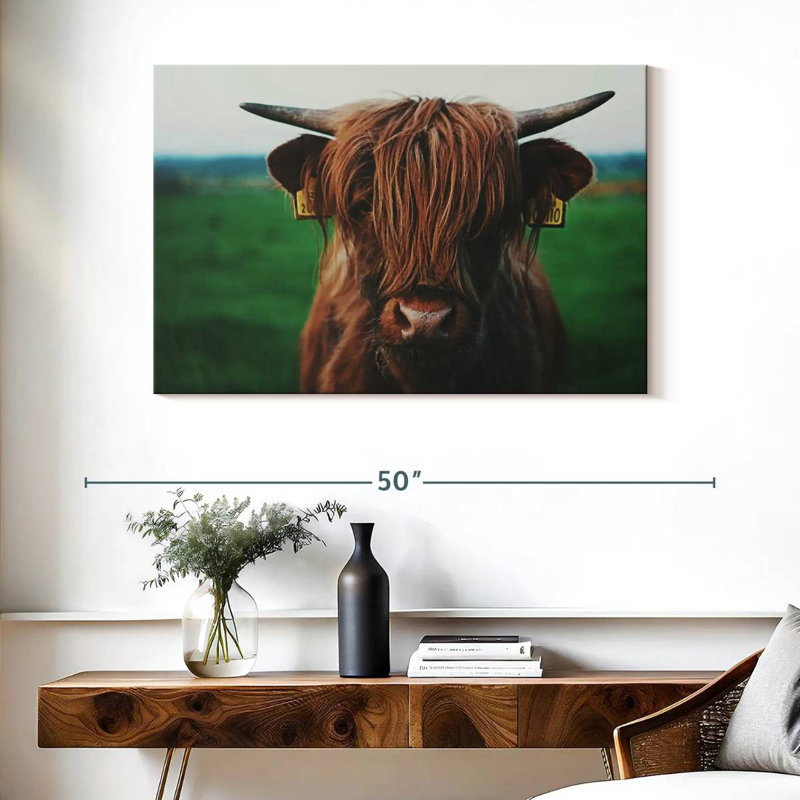 Brampt Highland Cow Close Up, 26" H x 39" W
