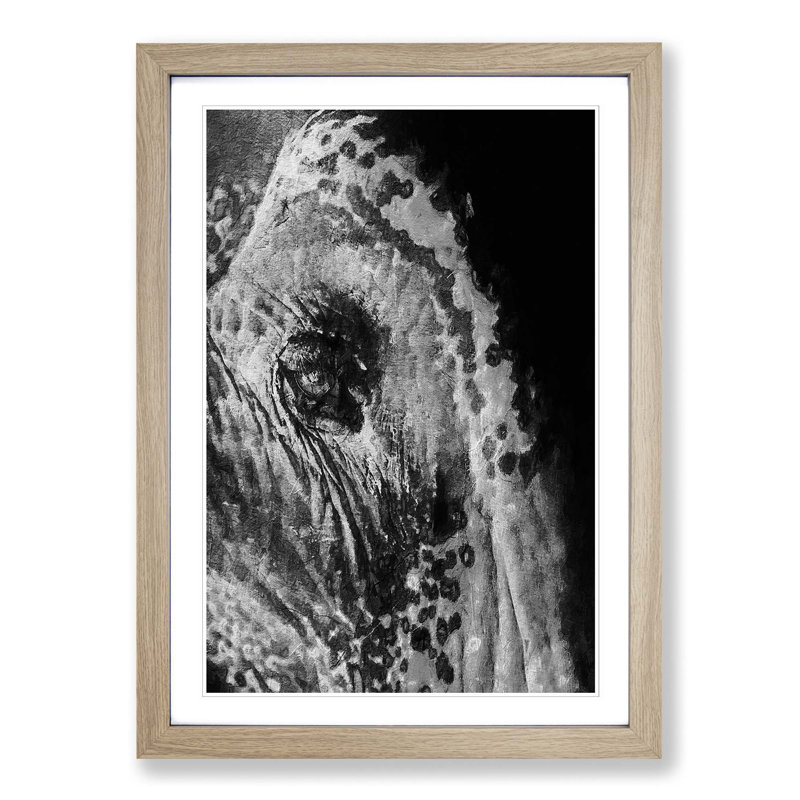 Watchful Elephant - Picture Frame Painting Print, 65cm H x 48cm W x 2cm D, Oak Framed
