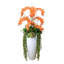 Orchid Arrangement with Cactus in Fiberstone Planter-292671249
