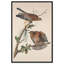 «Watchful pair», reproduction d'art sur toile par Art Remedy-118170817-118170816