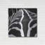 «Zebra V» par Debra Van Swearingen-101629279