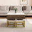 Square Lift-Top Coffee Table Set With Storage & 4 Ottomans