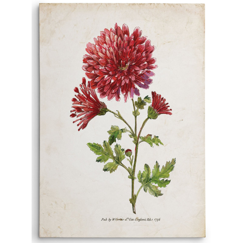 « botanique iii » par nan, reproduction d’art sur toile tendue, H 16 po x l 20 po x P 1,5 po