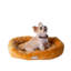 Beignet-3847982-11097547