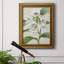 Toile encadrée Orchid Blooms III-446346679