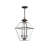 Boto Outdoor Hanging Lantern-2127457455-2097096290