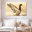 Canard colvert majestueux Brampt-107845163