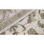 Chantel Oriental Area Rug in Ivory-106954261