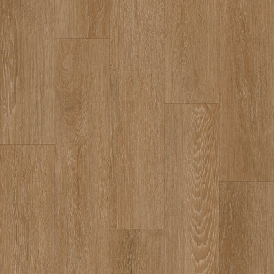 Cedar