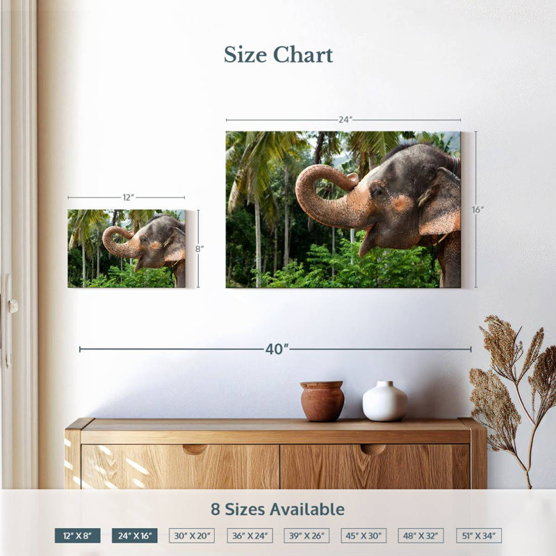 Brampt Smiling Asian Elephant, 16" H x 24" W