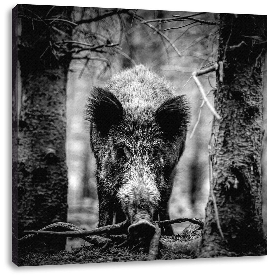 Fotodruck Nahaufnahme Wildschwein im Wald