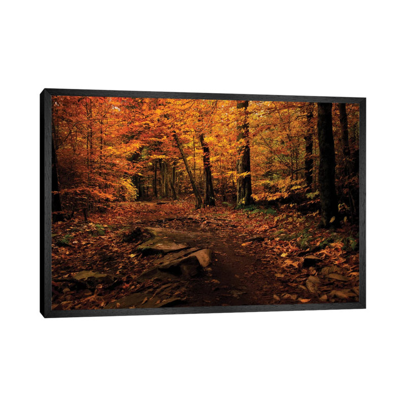Autumn Path by Natalie Mikaels - Print on Canvas, 152.5 cm H x 101.5 cm W, Black Framed Canvas