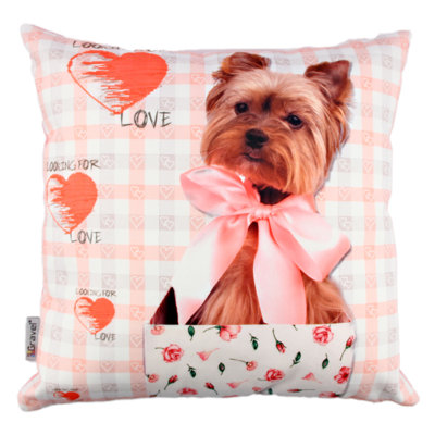 Premium Washable Cushion, 17.0 x 17.0 Inches, 50% Cotton / 50% Polyester, Silicone Filling, Concealed Zip | Soft, Comfortable & Ironable | Perfect for Home Decor, Living Room & Bedroom Accents
