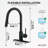 Expedition Series 16 In. 1-Handle Pull-Down Sprayer Kitchen Faucet In Matte Black With 1.8 GPM And Dual Spray Modes-119472202