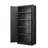 2-Door File Cabinet With Lock And 4 Adjustable Shelves