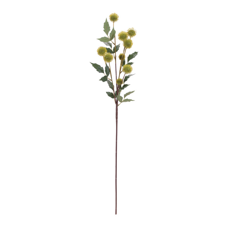 Branches vertes en fausse gousse