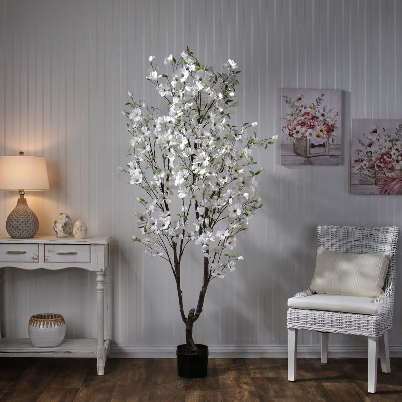 6.5' Southern Dogwood Tree, White