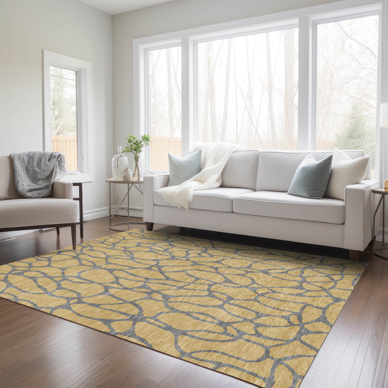  Machine Washable Indoor/Outdoor Chayden ACN1023 Rug, Rectangle 10' x 14'